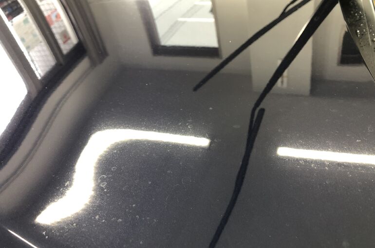 F11D432C-8B76-449E-B3F9-77D292622646