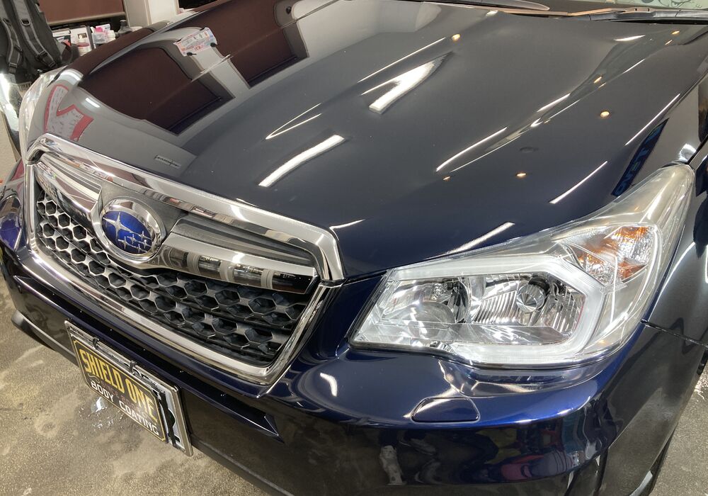 95EF8D67-1538-40A1-B748-67D566618DF2