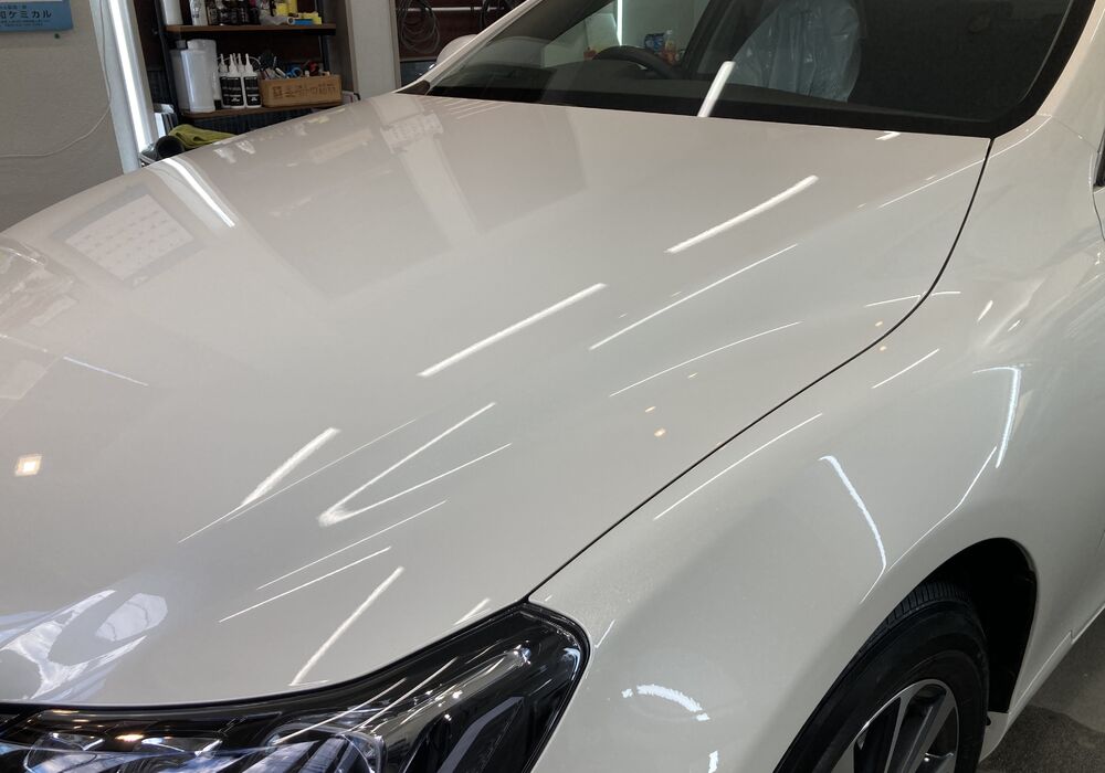 362E64CA-5949-4942-951D-C15269797E25