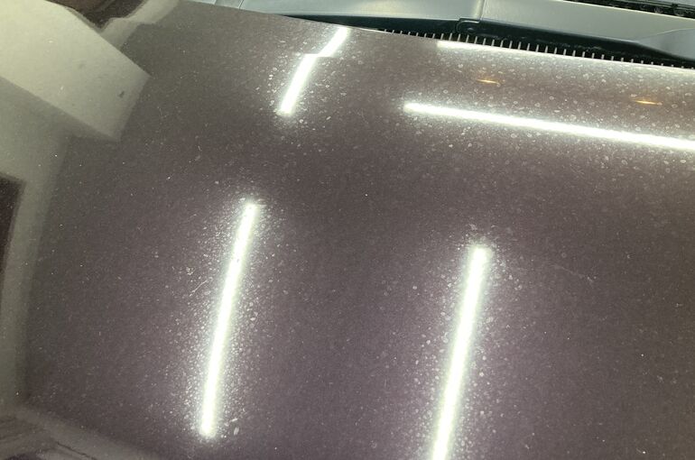 67F67523-76C8-464D-A0B4-3D4642C82449