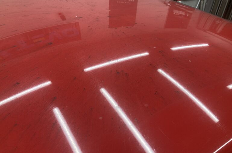 8EBE7DC7-6C87-4BF9-9E28-70D66ED054DF